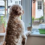 Profile Picture of Daniel Maidment (@photomaiders) on Instagram