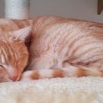 Profile Picture of Katsuji Hasegawa (@katsuji.hasegawa.1) on Facebook