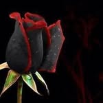 Profile Picture of Cheryl Higgins (@higgins.cheryl) on Instagram