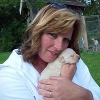 Profile Picture of Sue Mewhiney (@sue-mewhiney) on Quora