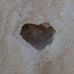 Profile Picture of Crystal Graving (@Crystal-Graving) on Facebook