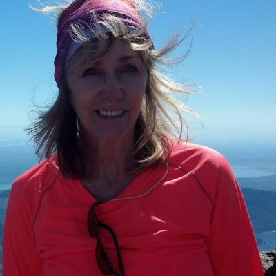 Profile Picture of Carole Seibert (@springchicly) on Twitter