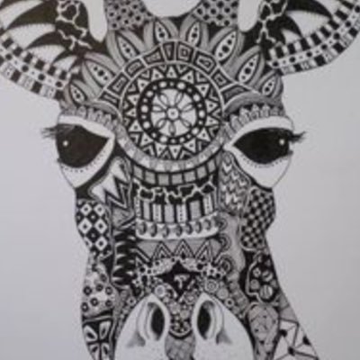 Profile Picture of Dan (@DanRickels) on Twitter