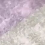 Profile Picture of Reid Fleming (@reid_fleming_) on Instagram