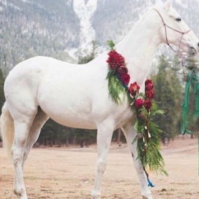 Profile Picture of Enas Musa (@Enasmusa1414) on Twitter