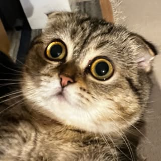 Profile Picture of Jacob Cho (@jacobshcho) on Instagram