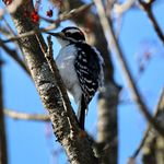 Profile Picture of Jacques Lemelin (@jacqueslemelin7) on Instagram