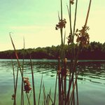 Profile Picture of Kenneth Preiss (@magicilyg) on Instagram