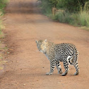 Profile Picture of Joshua Jones (@joshuajones-qr6ij) on Youtube