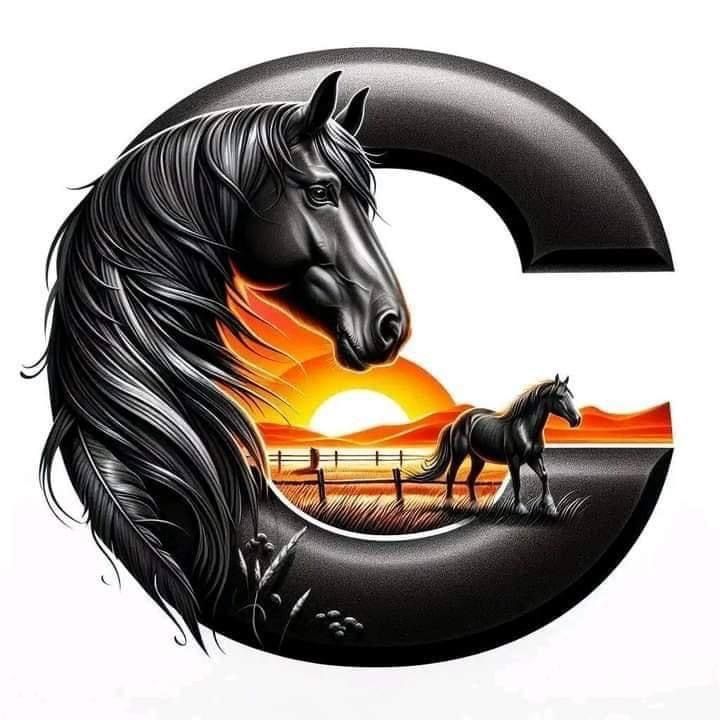 Profile Picture of Cesar Carrero (@cesarcarrero80) on Tiktok