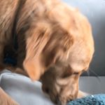 Ian Hannon - Instagram Profile Picture of Ian Hannon (@ianrhannon) on Instagram