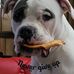 Profile Picture of John Ebersole (@john.ebersole.359) on Facebook