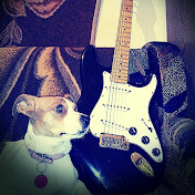 Profile Picture of Dragan Pavlovic (@gagapavlovic) on Youtube