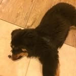 Profile Picture of Hugo Schwarz (@schwarz.hugo) on Instagram