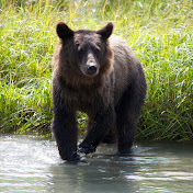 Profile Picture of J Curtis (@jcurtis319barrenhill) on Youtube