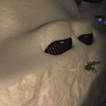 Profile Picture of Chris Harned (@christopher.harned) on Instagram