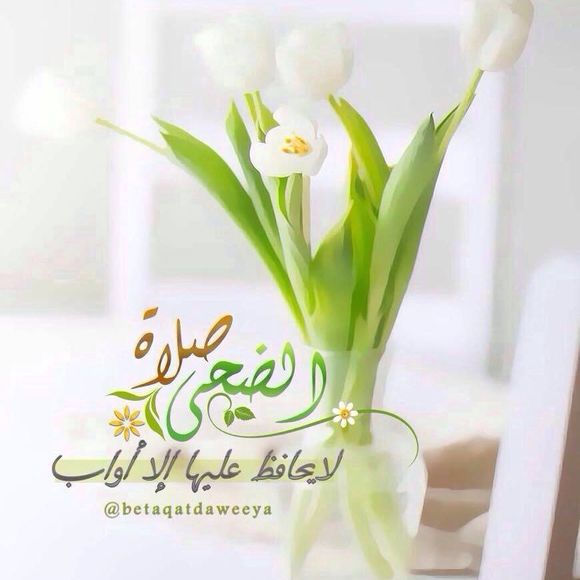 Profile Picture of Azza Mohamed (@azzamohamed) on Poshmark