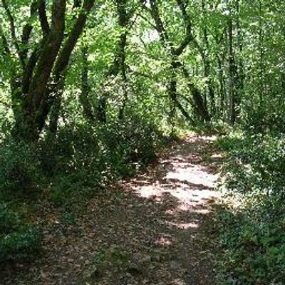 Profile Picture of Beverley Stewart (@stewart1020) on Twitter