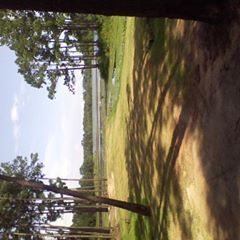 Profile Picture of Gary Bach (@garybach1) on Tiktok