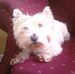 Profile Picture of MacGregor Augustus Keegan (@macgregoraugustus.keegan) on Facebook