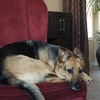 Profile Picture of Alex Brant (@@alex_brant) on Tiktok