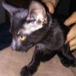 Scott Greenlee - Instagram Profile Picture of Scott Greenlee (@scott.greenlee) on Instagram