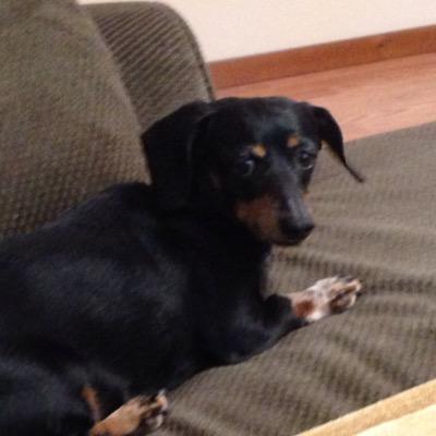 Profile Picture of Rusty Craig (@sherlycroft) on Twitter