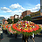 Profile Picture of Rosa Ofelia Alvarez (@rosalvarezw) on Flickr