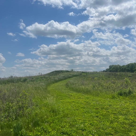 Quinn Jones - Poshmark Profile Picture of Quinn Jones (@qjselz) on Poshmark