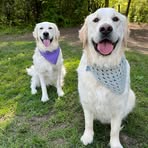 Profile Picture of Sue Kempski Sliwa (@sue.kempskisliwa) on Facebook