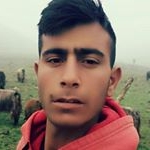 Profile Picture of Adaballı mahmut21 (@adaballima) on Instagram