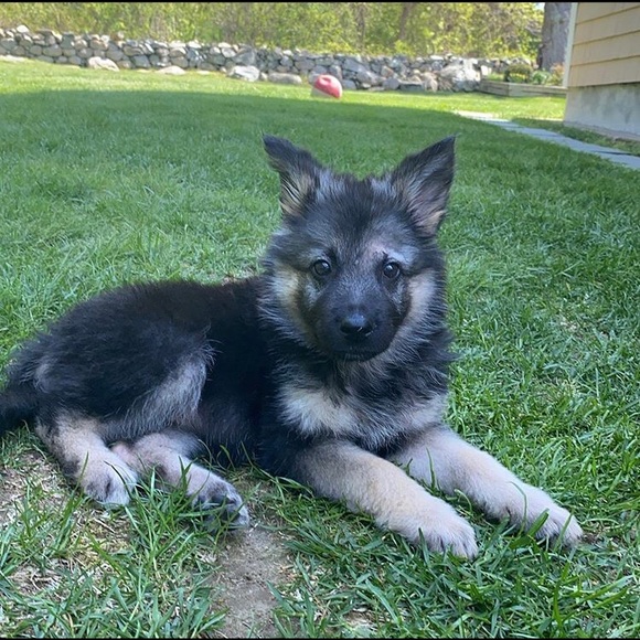 Profile Picture of Jeremy Mazzulla (@jmazz403) on Poshmark