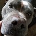 Profile Picture of Mark Antone (@mark.antone.3950) on Facebook