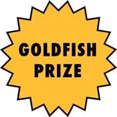 Profile Picture of Goldfish Prize (@GoldfishPrize) on Twitter