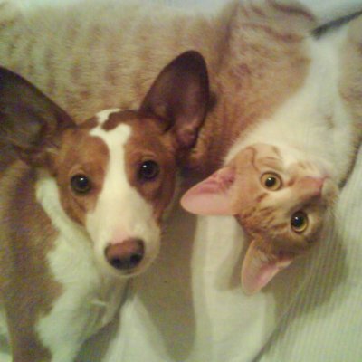 Profile Picture of Beauvais Christophe (@BeauvaisChris12) on Twitter