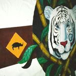 Profile Picture of William Mcclain (@william.mcclain.988) on Instagram