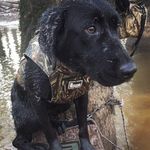 Profile Picture of Matthew Crockett (@matthew.crockett) on Instagram