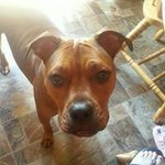 Profile Picture of Bj Mcginnis Alexander (@bj.m.alexander.3) on Instagram