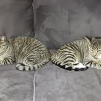 Profile Picture of John Cassetta (@john.cassetta.71) on Facebook