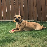 Profile Picture of Samuel Lopes (@samuel-lopes-18) on Quora