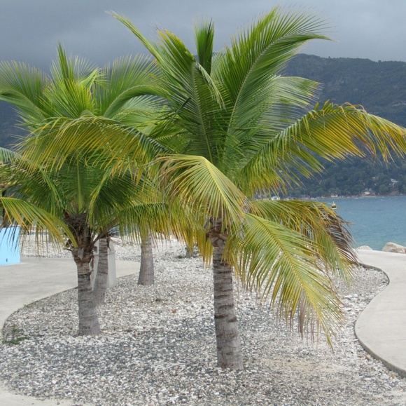 Profile Picture of Andrea Diestler (@peloandie) on Poshmark