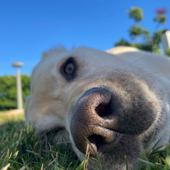 Profile Picture of Jaclyn Richards (@jacmae13) on Poshmark