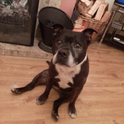 Profile Picture of Robert Swindlehurst (@RobertSwindleh2) on Twitter