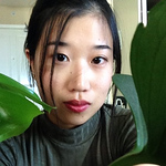 Profile Picture of Minji Kang (@videlicets) on Flickr