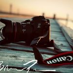 Profile Picture of Brenda Pugh (@brendapughphotography) on Instagram