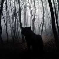 Profile Picture of Tomasz Nowak (@tomasz-nowak-63) on Quora