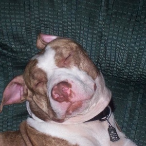 Profile Picture of Kimberly Schleppi (@k1mma83) on Myspace