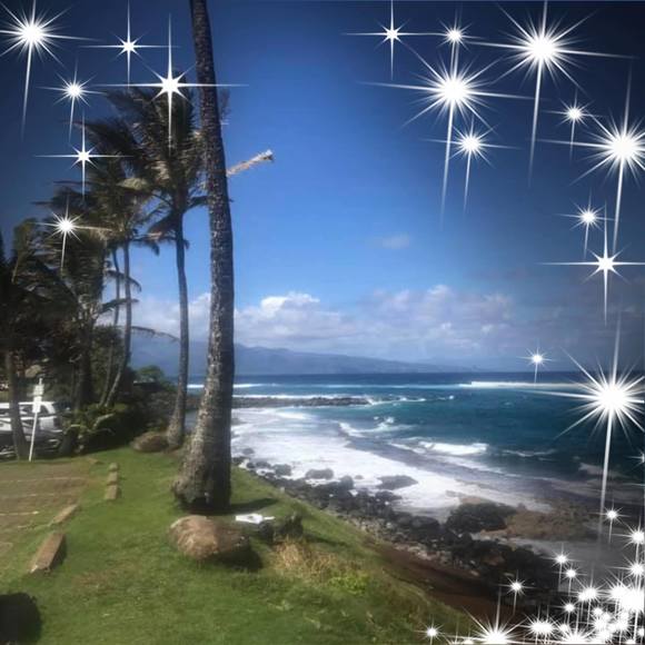 Lori Goschy - Poshmark Profile Picture of Lori Goschy (@lorig88) on Poshmark