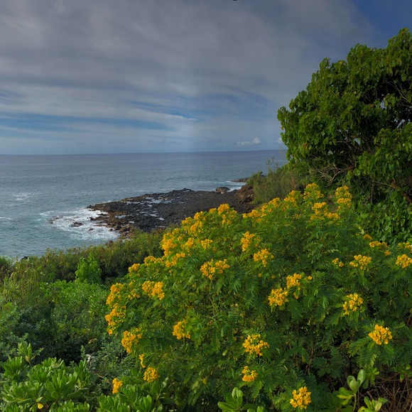 Profile Picture of Tricia Fagelman (@triciafagelman) on Poshmark