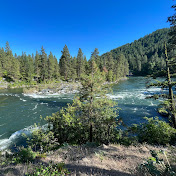 Nick Miranda - Youtube Profile Picture of Nick Miranda (@nickmiranda8573) on Youtube